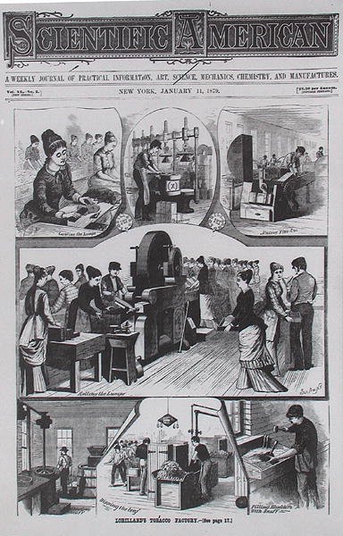 Lorillards烟草工厂，来自Scientific American，1879年1月11日 作者 美国学校