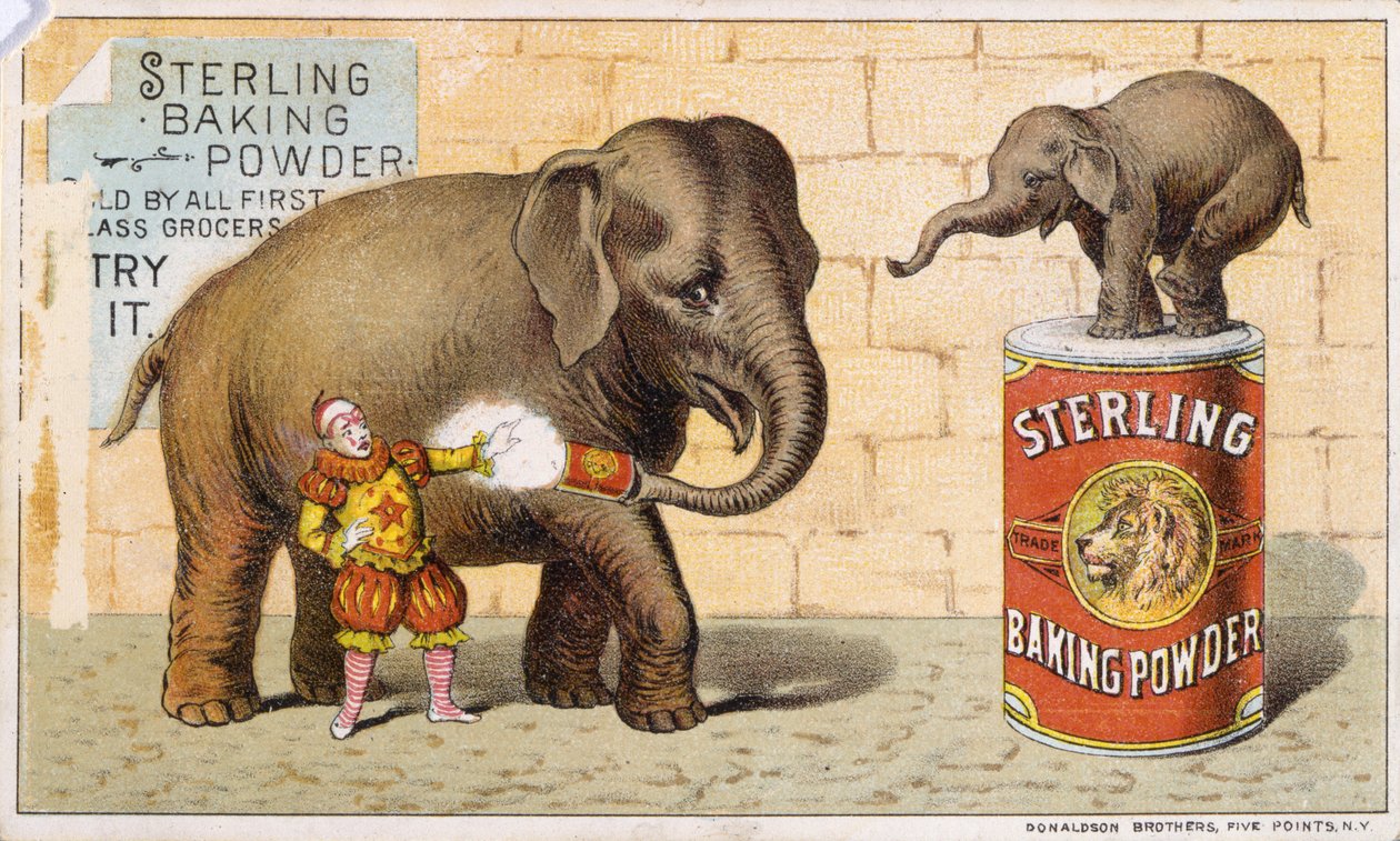 Sterling Baking Powder（彩色光刻[tradecard]） 作者 美国学校