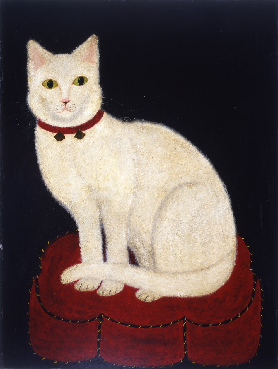 Tinkle，一只猫，1883年（石油学院董事会） 作者 美国学校