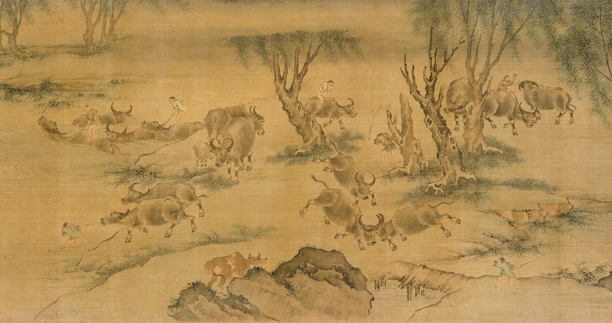 水牛和牧群男孩，中国人，1368-1463 作者 中文学校