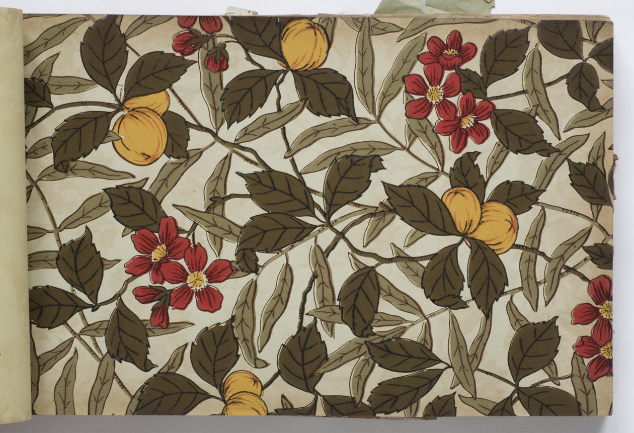 来自壁纸样本的页面，1885-90（表面滚筒或手工印刷纸） 作者 英语学校