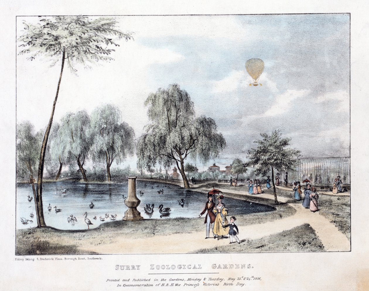Surry Zoological Gardens。酒吧。 1836年（手工彩色雕刻） 作者 英语学校