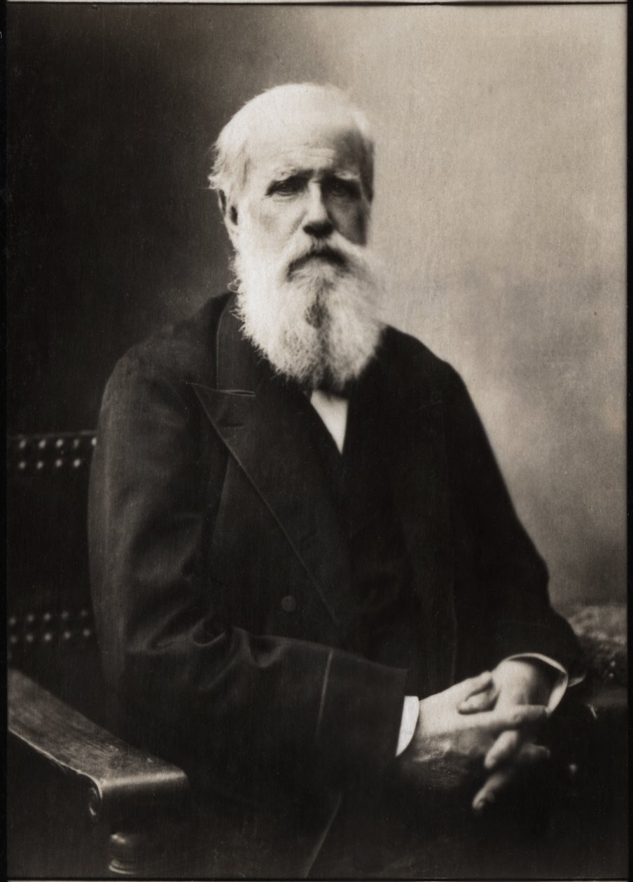 巴西皇帝Dom Pedro II（彼得二世）（1825-1891）的肖像。 作者 法国摄影师