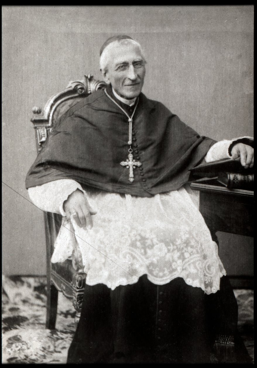 Vergne的Francois-Marie-Benjamin Richard的肖像（红衣主教理查德）（1819-1908） 作者 法国摄影师