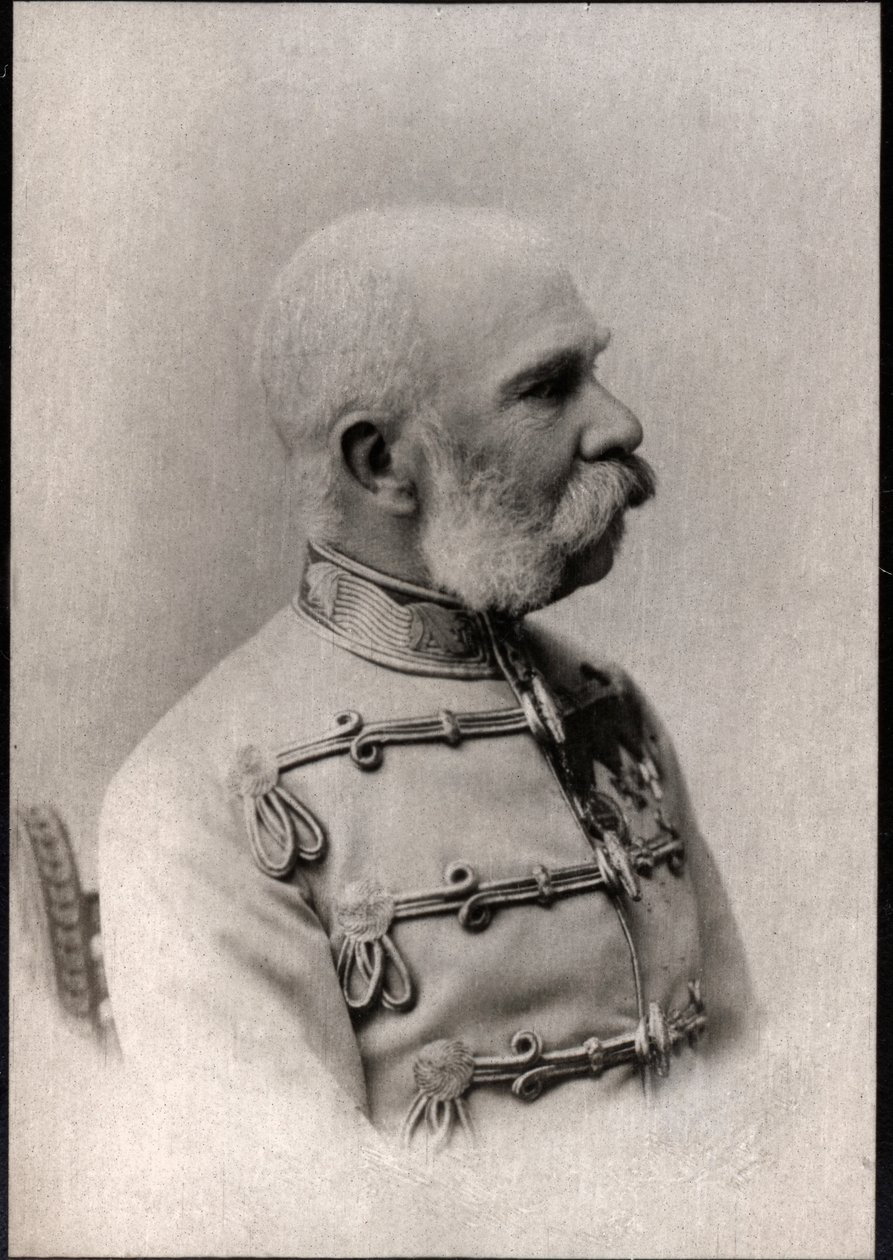 弗朗茨约瑟夫一世（1830-1916），奥地利皇帝的肖像。 作者 法国摄影师