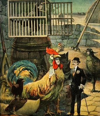 Chantecler，Edmond Rostand的戏剧，Le Petit Journal的封面，1910年1月30日 作者 法语学校