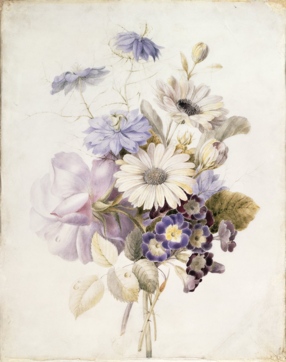 鲜花与雏菊，1840年（纸上的wc） 作者 法语学校