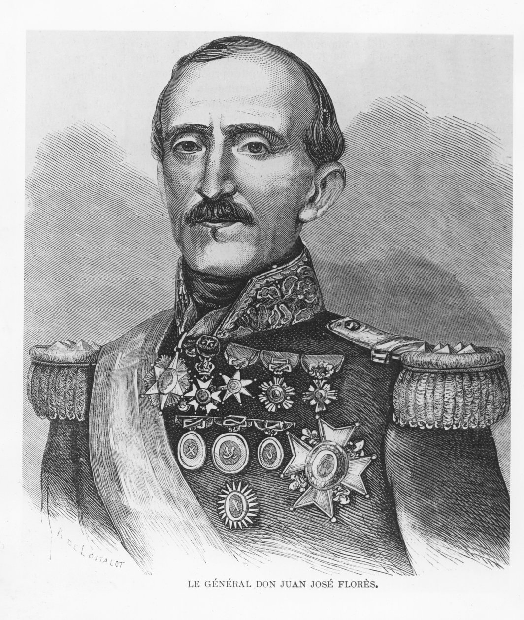 JuanJoséFlores 作者 法语学校