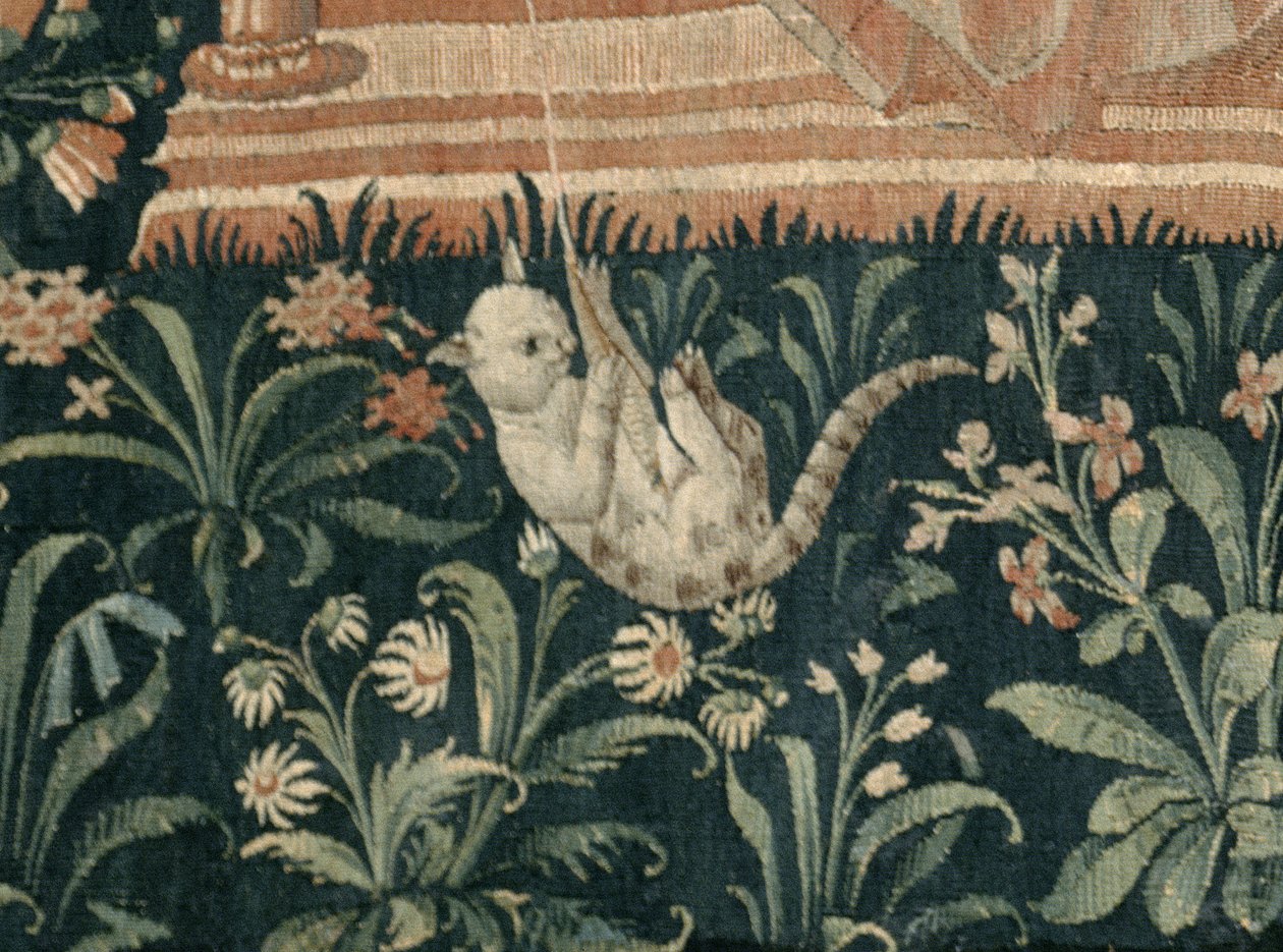 主的生活：阅读，卢瓦尔工作室，c.1500（细节28041） 作者 法语学校