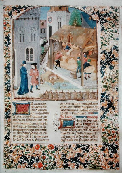 5064 fol.35r女士脱粒，来自Pietro de Crescenzi的Livre des Prouffitz Champestres（1230-132021） 作者 法语学校