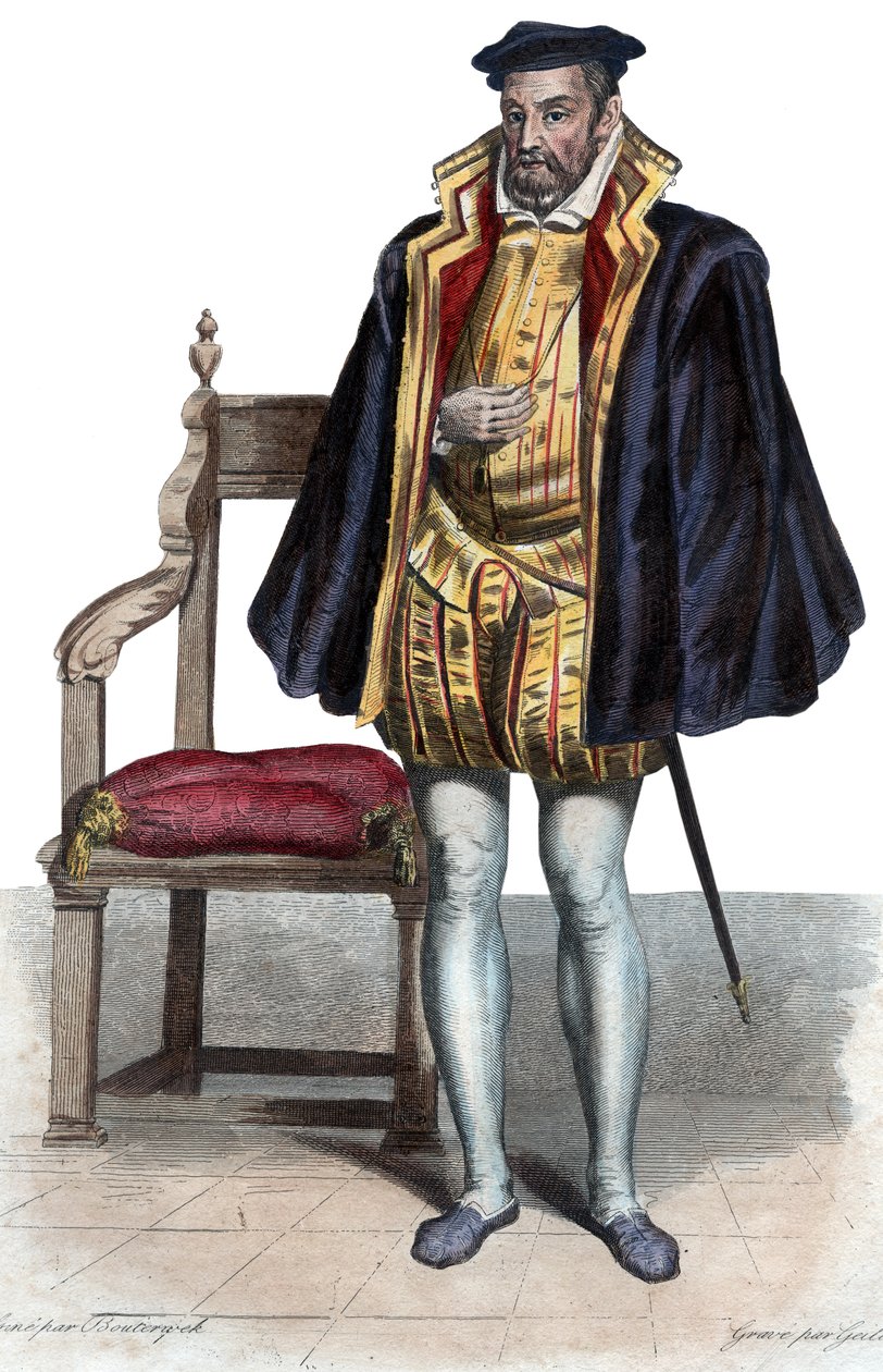 Gaspard II de Coligny（1519-1572）的肖像，法国贵族和海军上将。 作者 法语学校