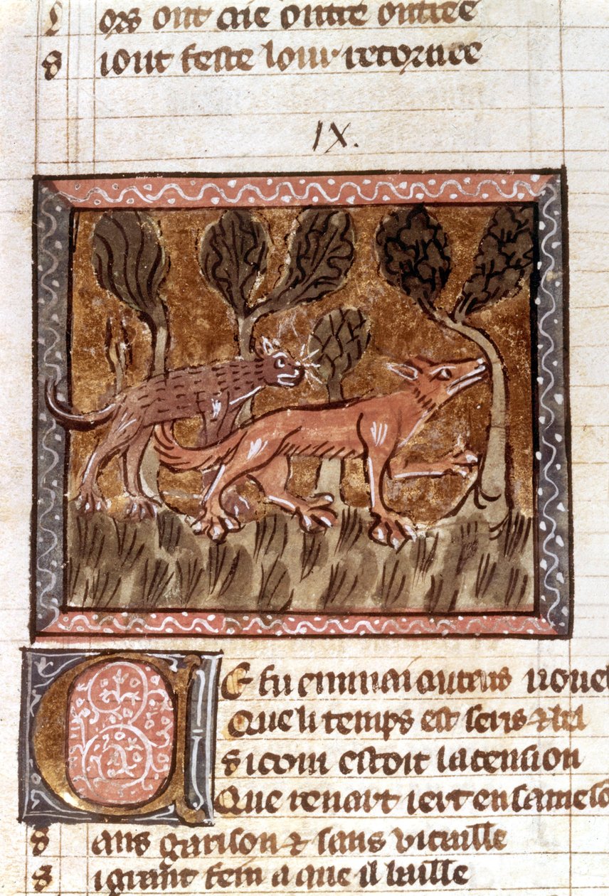 狐狸和狼，来自手稿的照片，名为Roman de Renart（The Fox of the Fox），c.13世纪 作者 法语学校