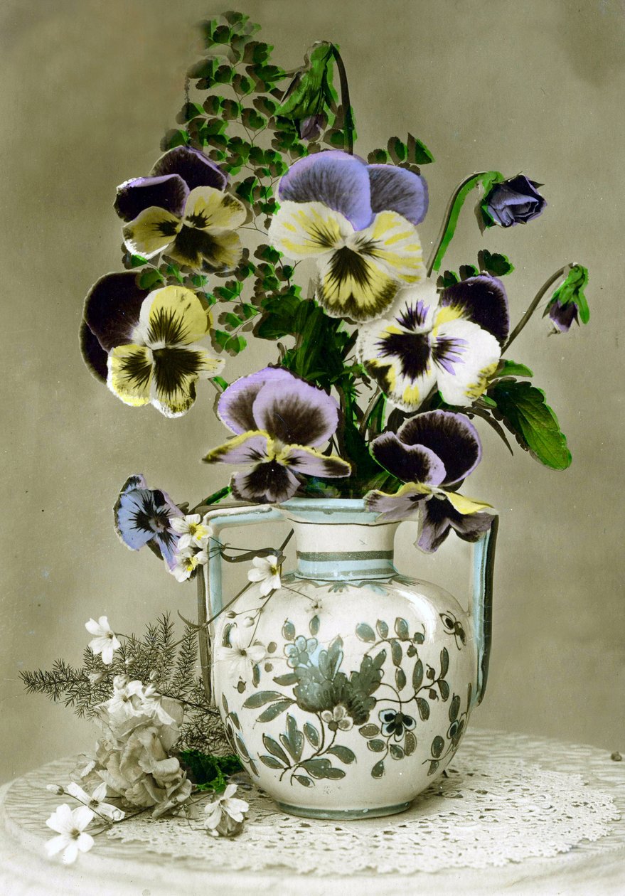 三色紫罗兰花瓶c.1898（手绘照片） 作者 法语学校