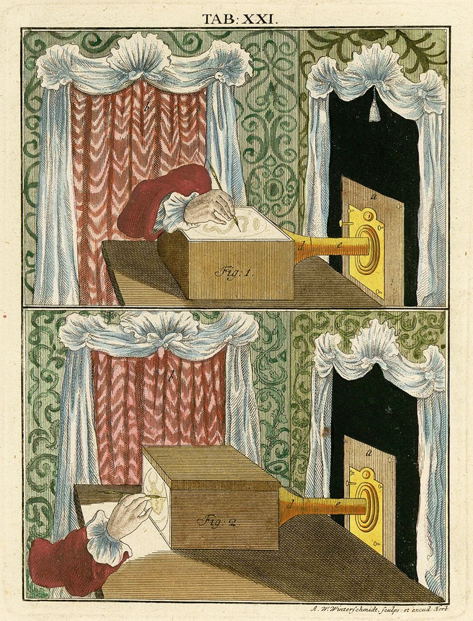 使用光学显微镜绘制放大的图像，1768 作者 德国学校