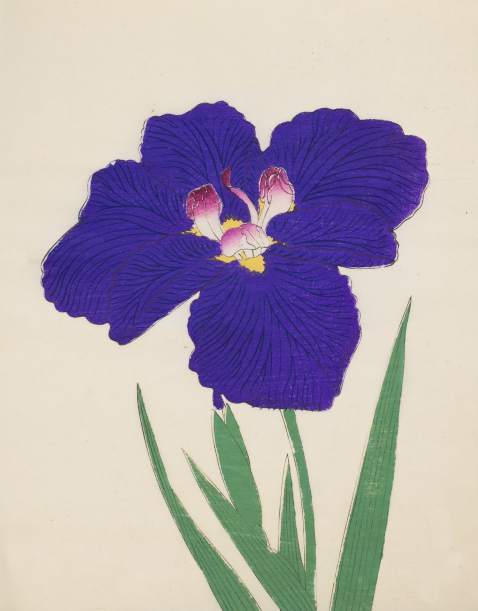 Shira-No-Tamoto，第49号，1890年（彩色木版画） 作者 日本学校