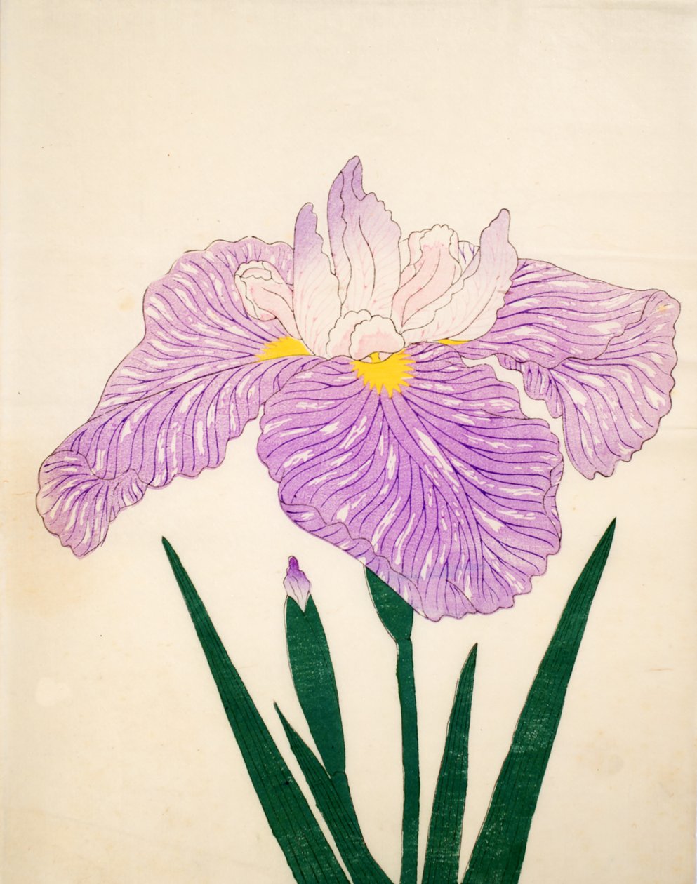 Tama-Usagi，No。98,1890（彩色木版画） 作者 日本学校