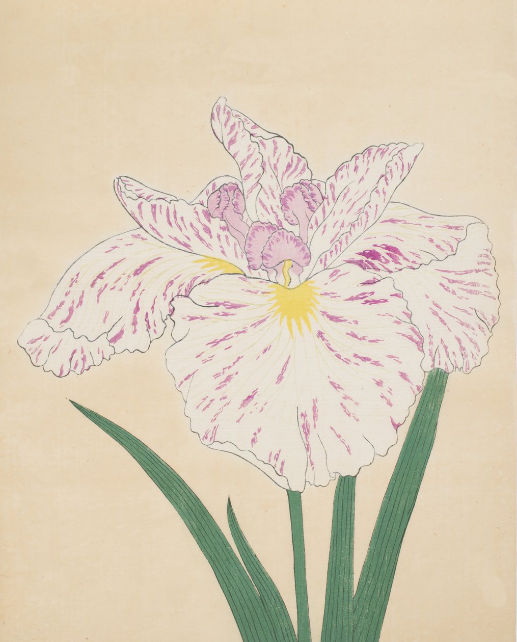 Uji-No-Kawagiri，第55号，1890年（彩色木版画） 作者 日本学校