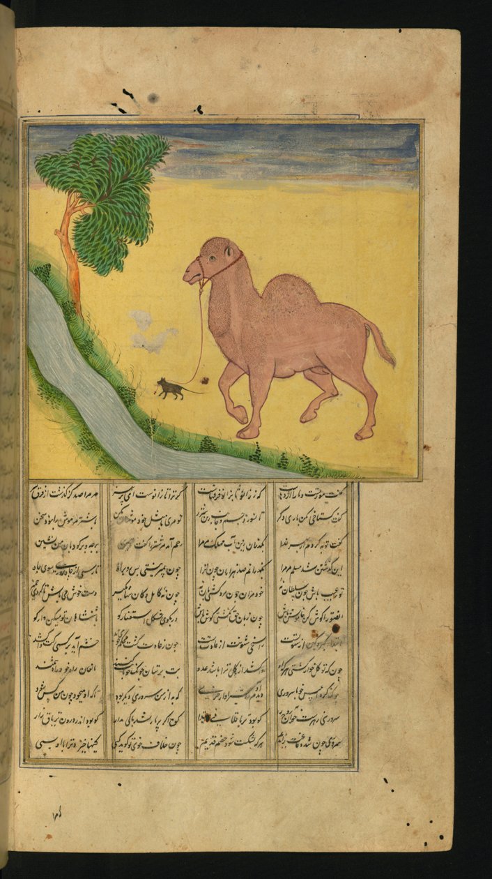 一只老鼠，抓住骆驼的缰绳，在水流中，插图来自诗集，由Jalal al-Din Rumi，1663年（墨水和颜料在纸上） 作者 波斯学校
