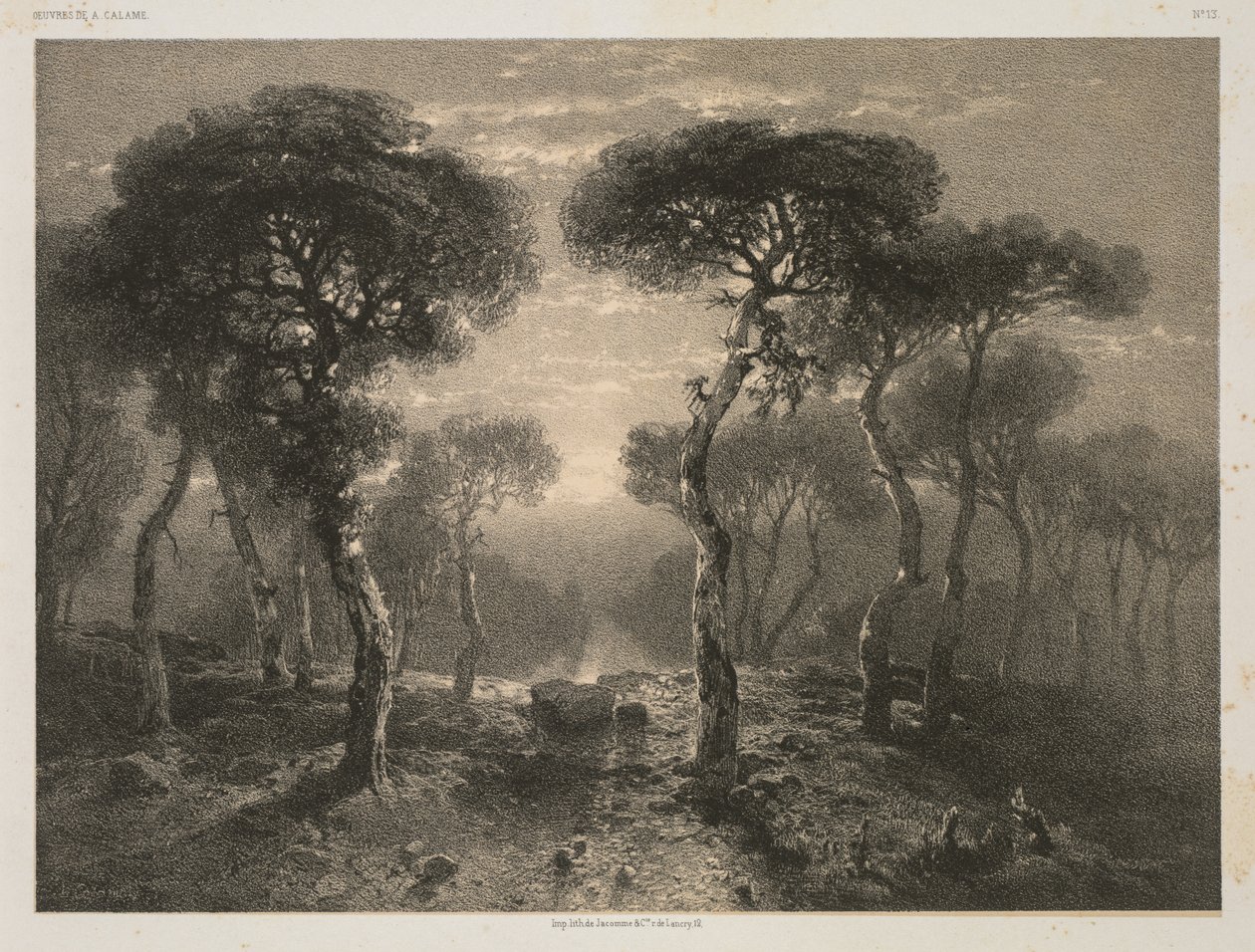 A. Calame的作品Calame，第13号：Forêt de Sierre en Valais，1843年，1851年出版。 作者 12 Jacomme 和 Cie。 R. de Lancry 巴黎