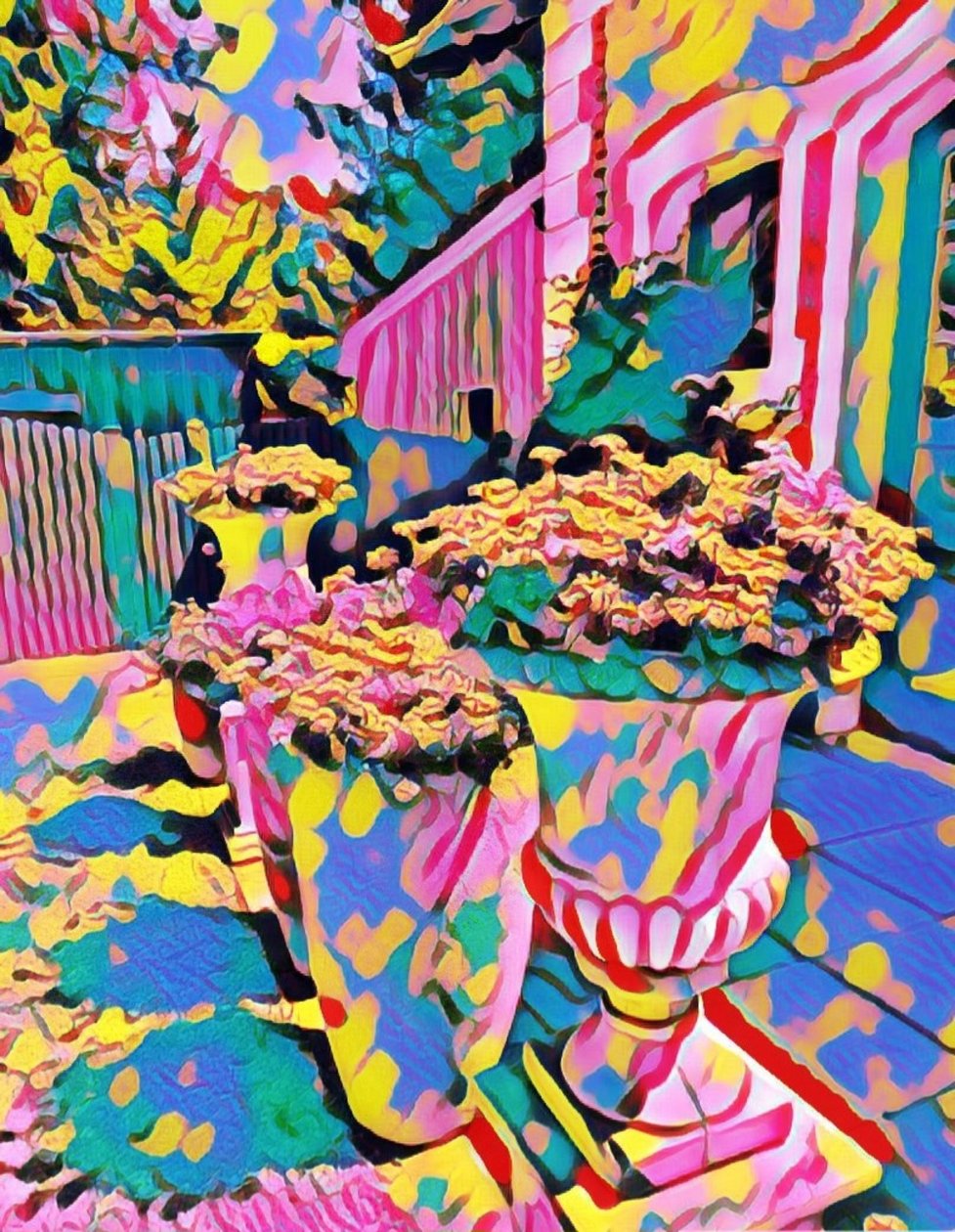夏日梦想 作者 玛格丽特乌利亚特