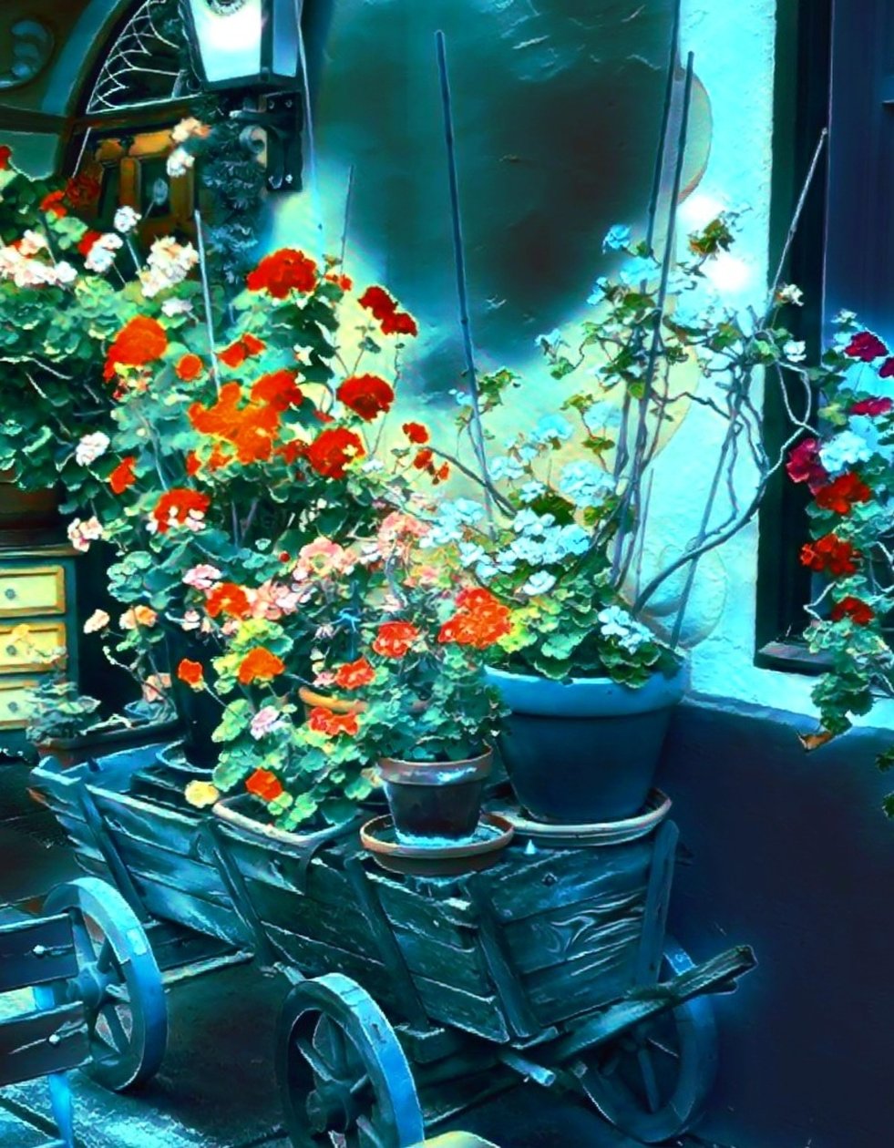 月光下的花朵 作者 玛格丽特乌利亚特