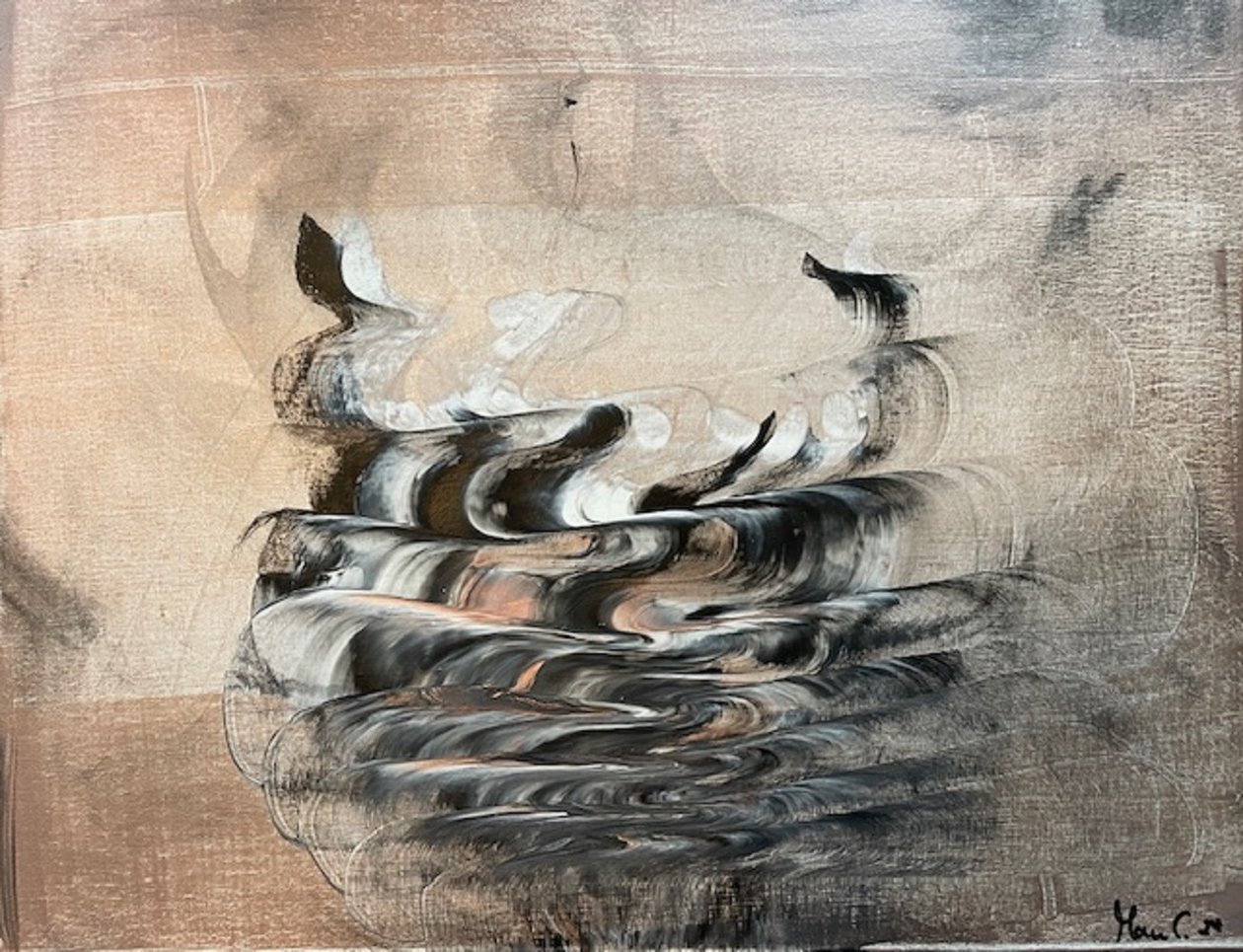 飓风来袭 作者 马努 C.