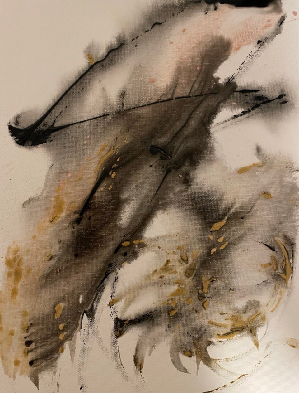 金水之鲸 作者 马努 C.