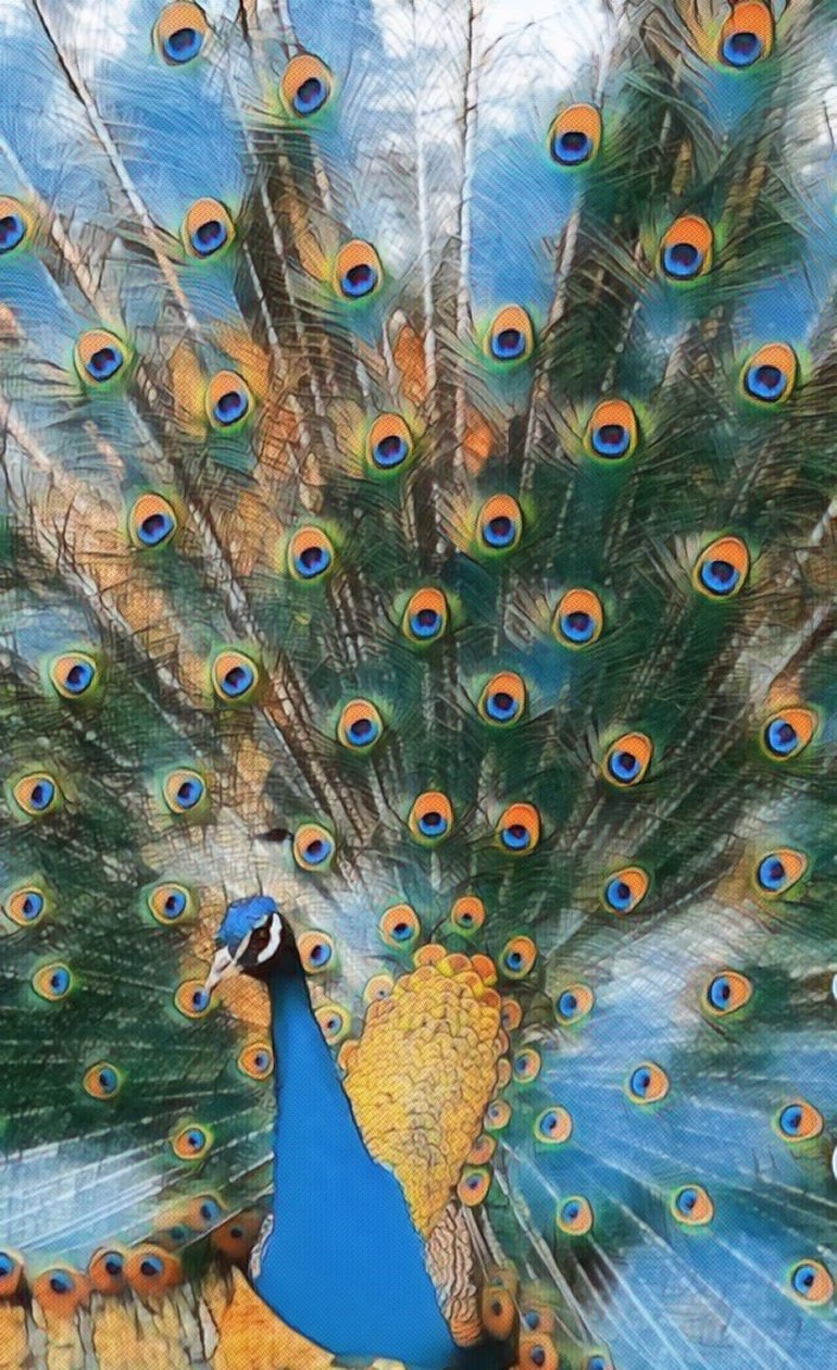 Pavo Real. 作者 玛格丽特乌利亚特