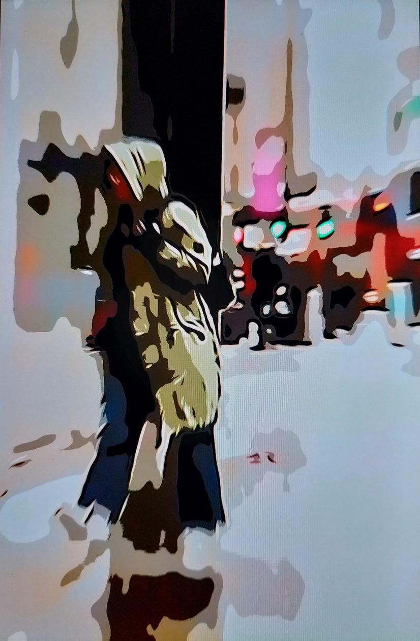 雨水模糊 作者 马韦特 
