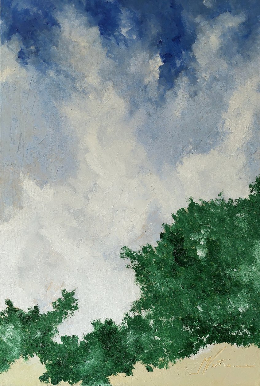 Siepe 作者 