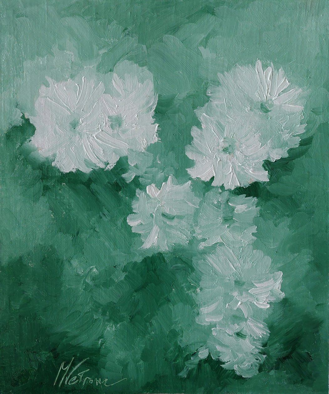 白色花朵 作者 