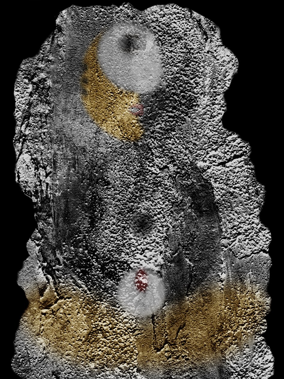  作者 