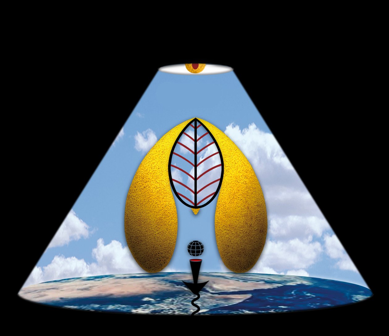 Im Anfang war das Wort (aus der Serie Lichtung) 作者 