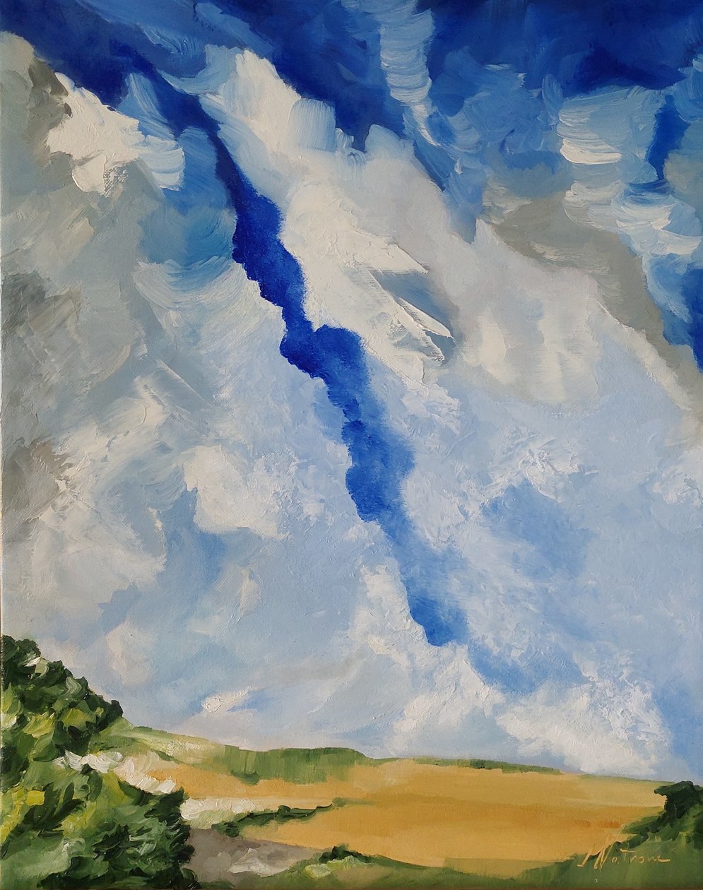夏日的天空 作者 