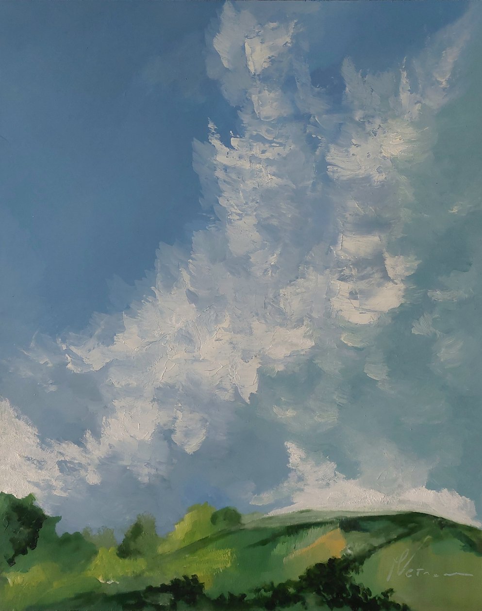 云间青山 作者 