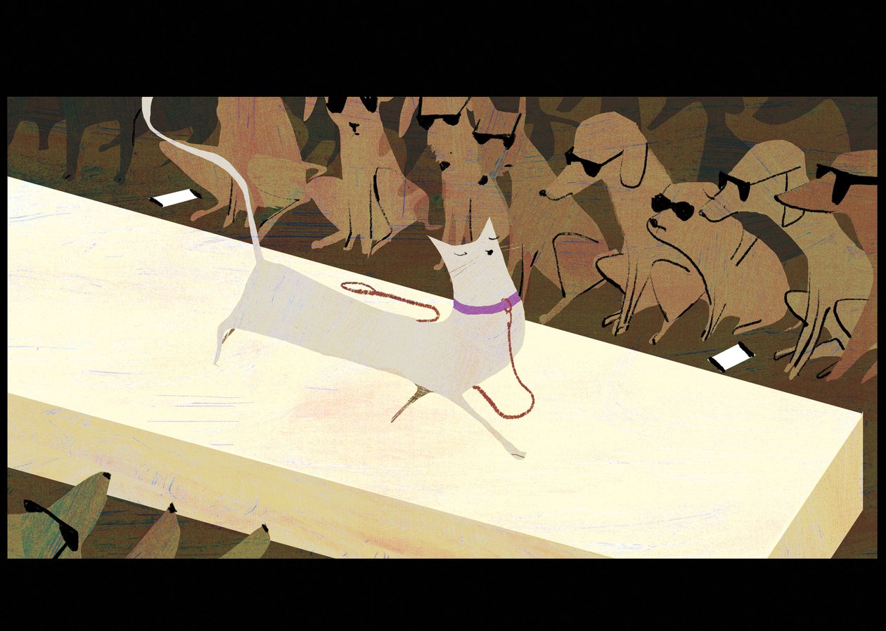 Catwalk, 2016 作者 答：理查德·艾伦