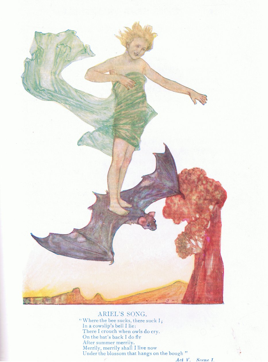 Ariel