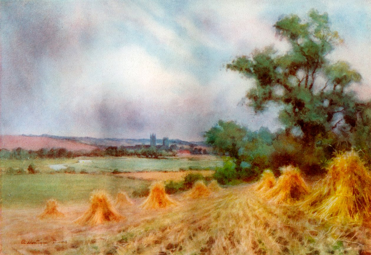 坎特伯雷，来自肯特郡Sturry Wood，1924-1926。 作者 蒙太古河