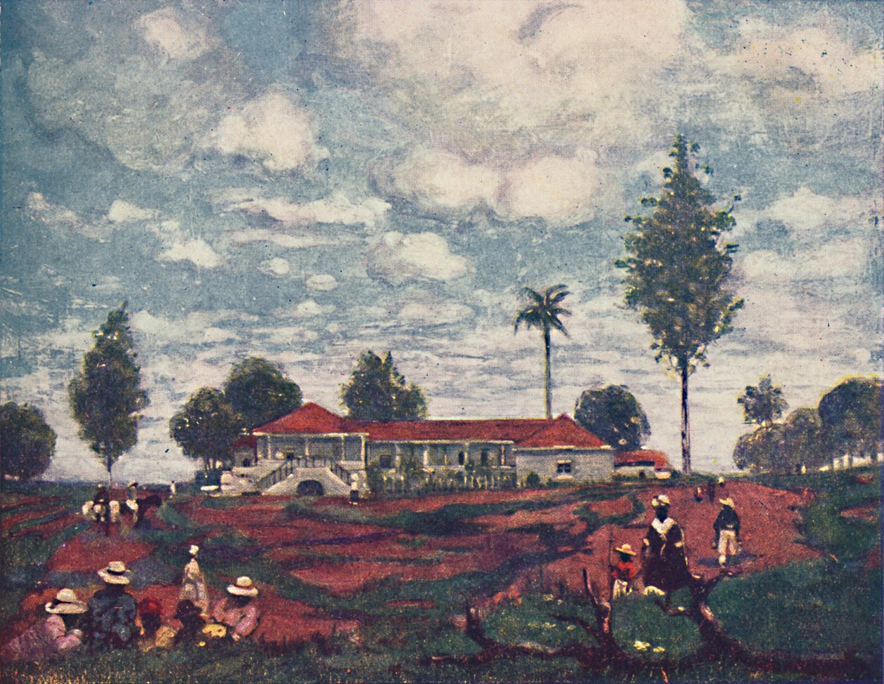 一个咖啡农场，1916年 作者 福雷斯特