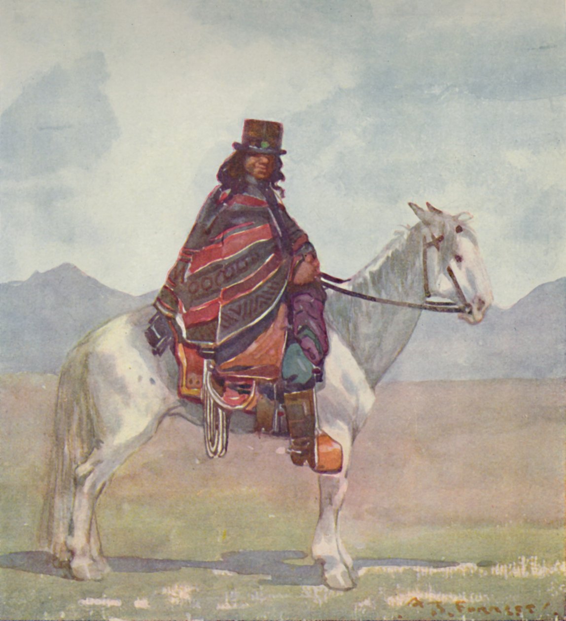 阿劳（Aaucanian）印度人，1916年 作者 福雷斯特