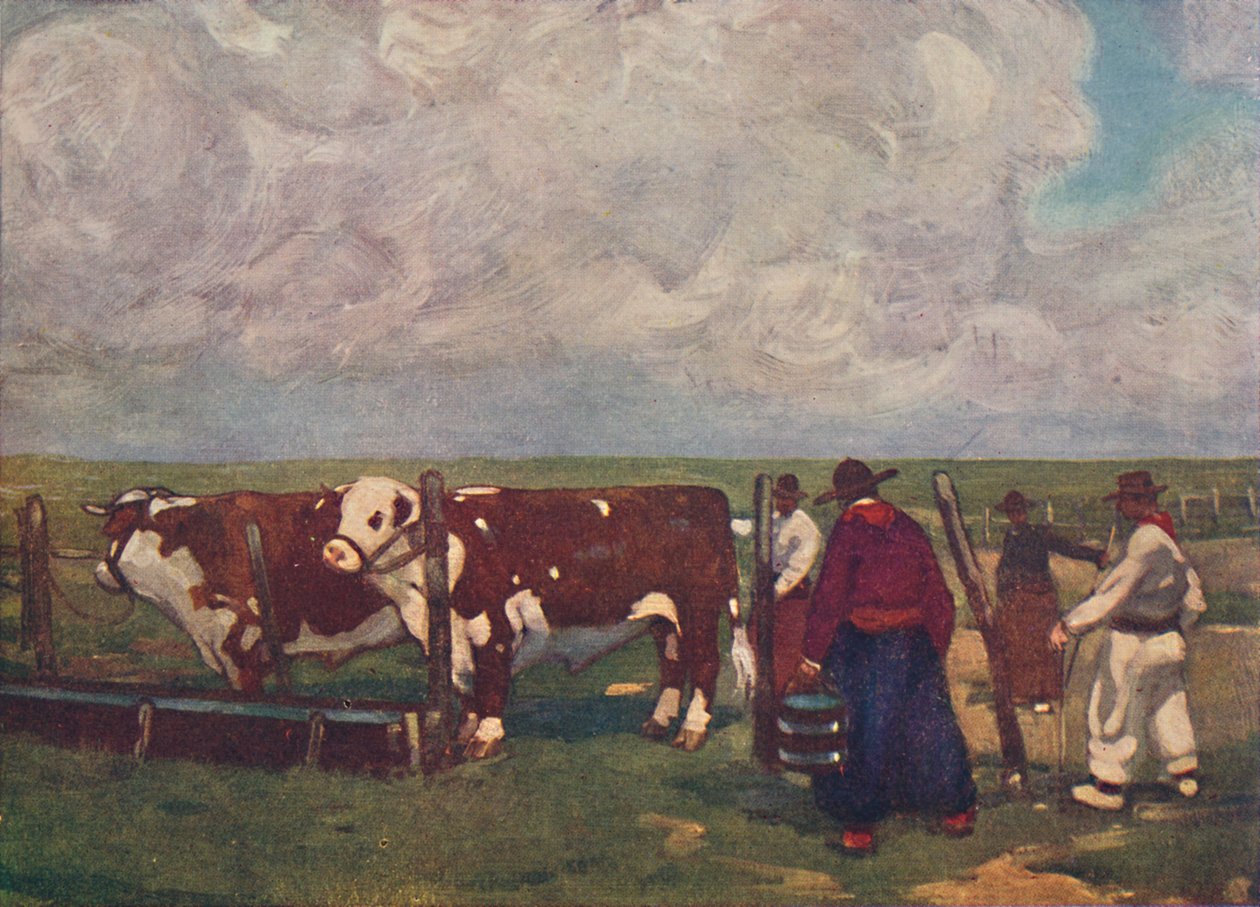 血统牛上AA Lemco Estancia，1916年 作者 福雷斯特