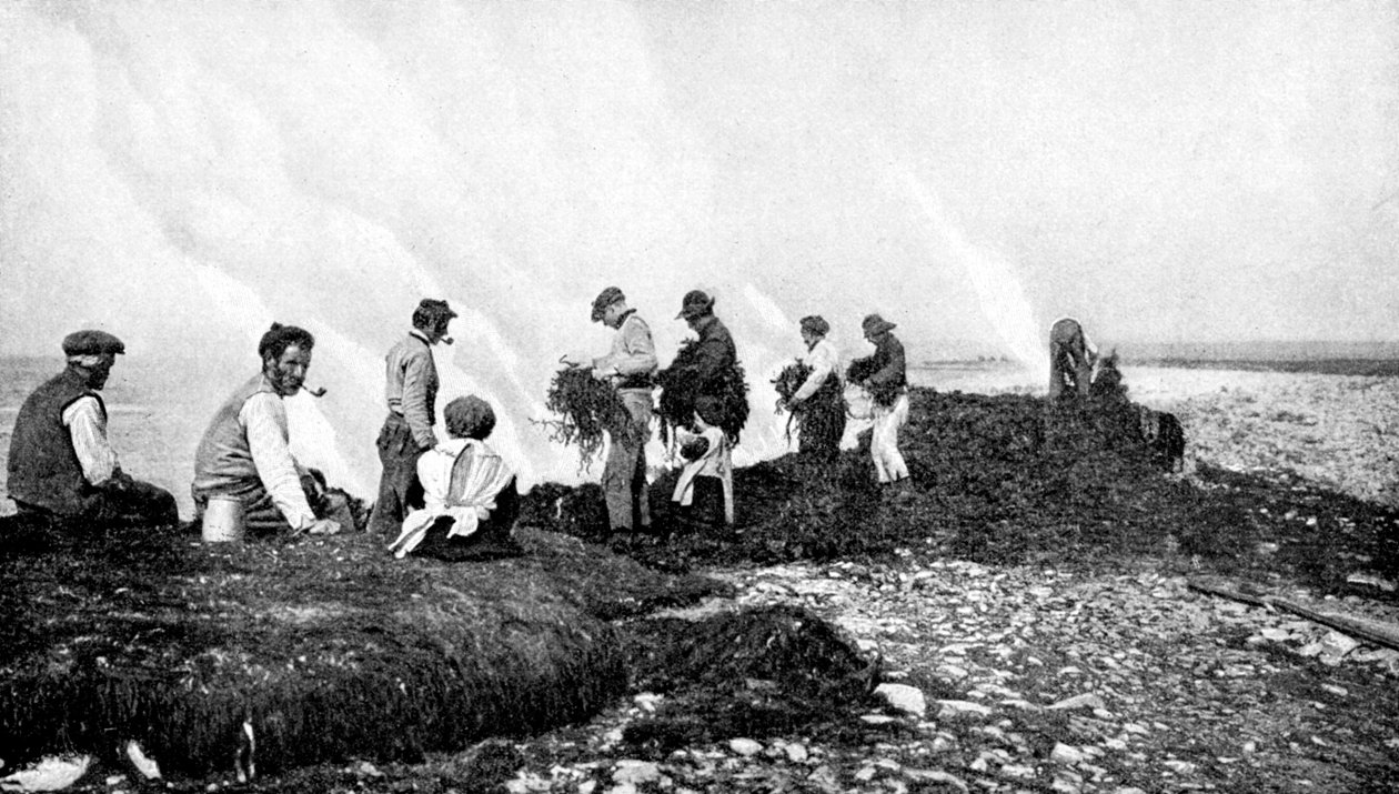 1922年，爱尔兰阿兰群岛的海藻燃烧海藻。 作者 AW卡特勒