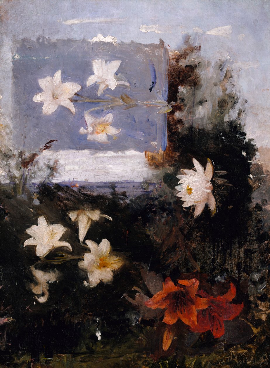 花卉研究，约1886年。 作者 雅培汉德森塞耶