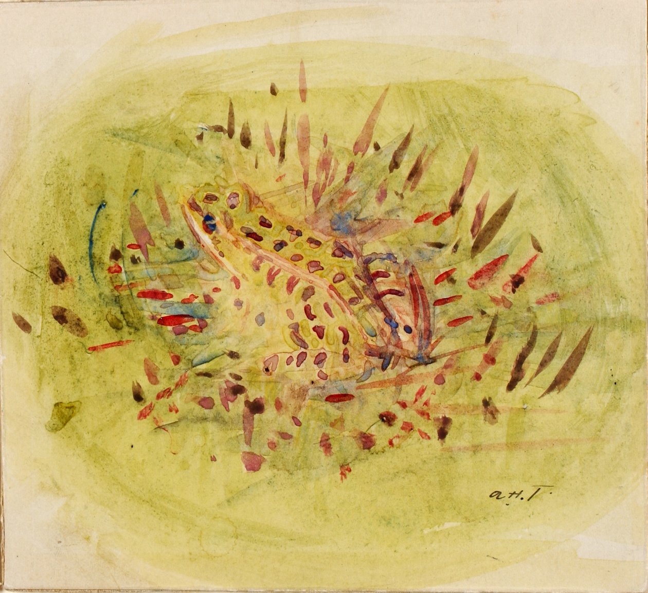 青蛙，约1910-1915年。 作者 雅培汉德森塞耶