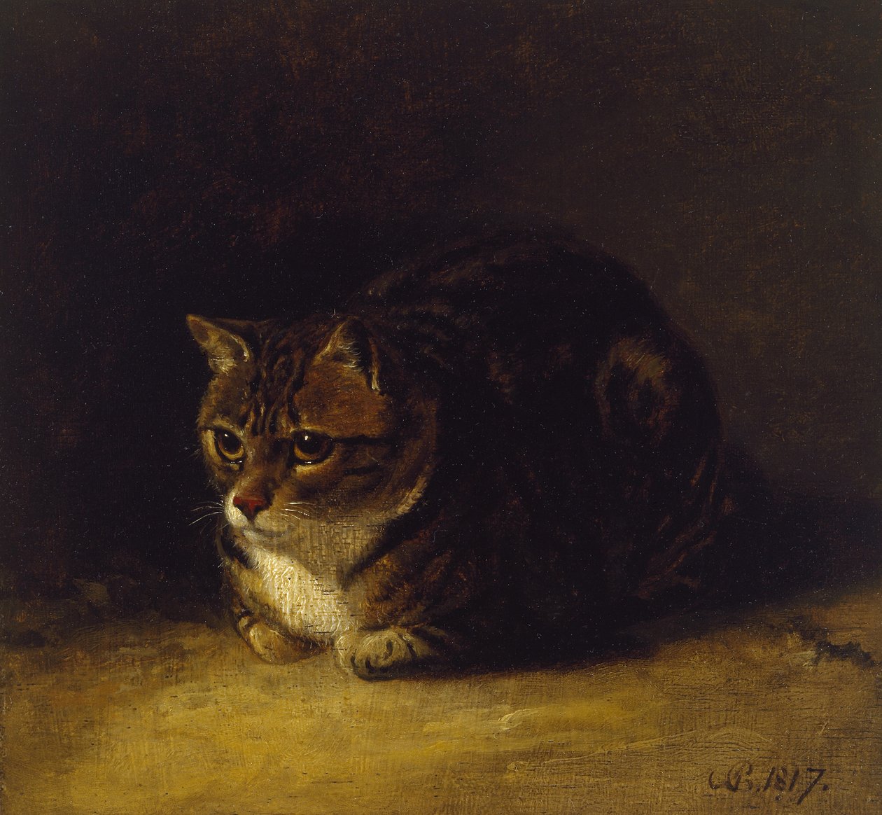 猫的研究，1817年（油面板，安装为图纸） 作者 亚伯拉罕·库珀