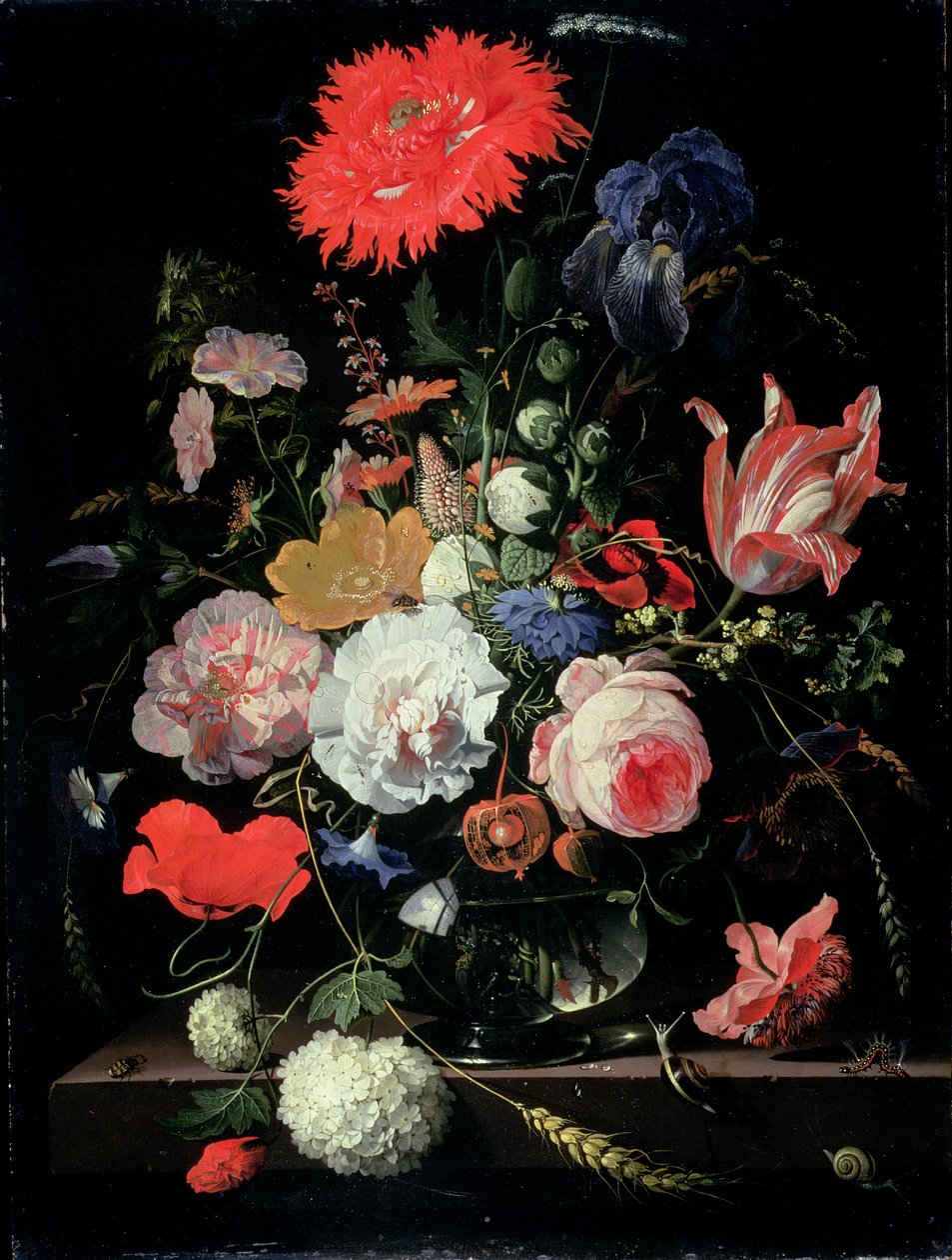 花片 作者 亚伯拉罕·米尼翁（Abraham Mignon）