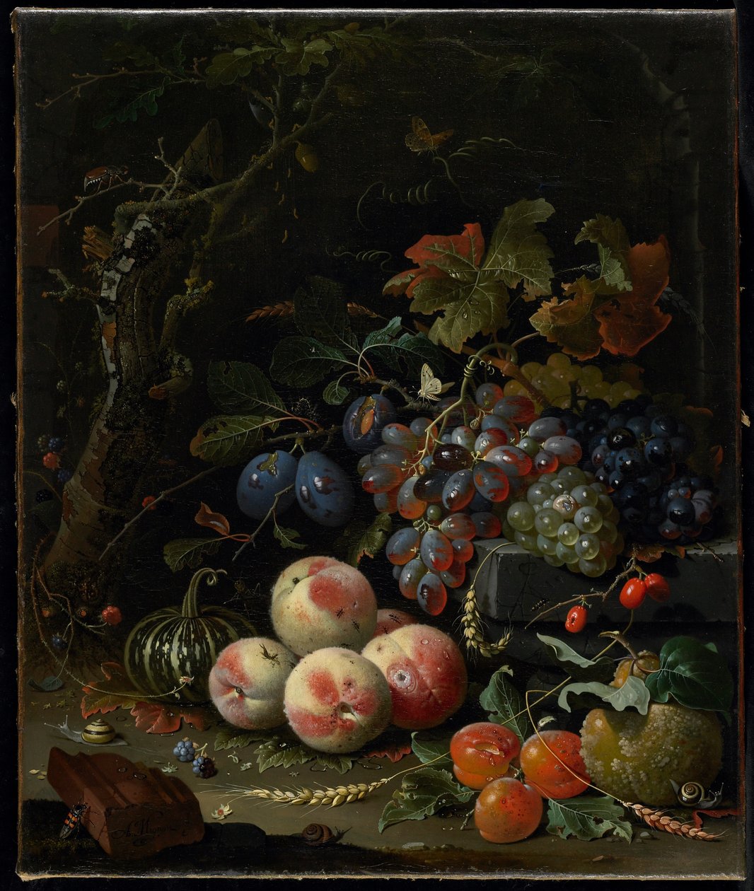 静物与水果，叶子和昆虫，c.1669 作者 亚伯拉罕·米尼翁（Abraham Mignon）