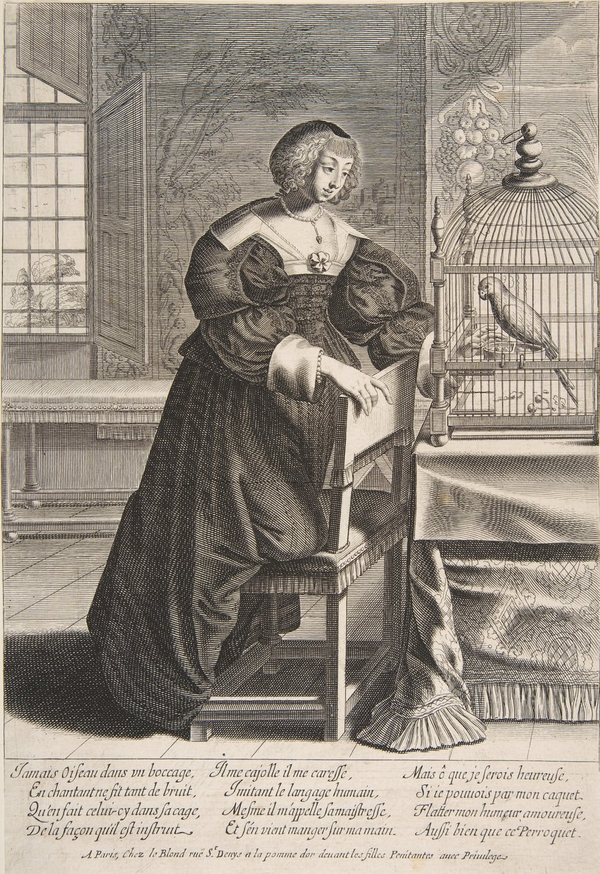 鹦鹉，1620-76年。 作者 亚伯拉罕·博斯（Abraham Bosse）
