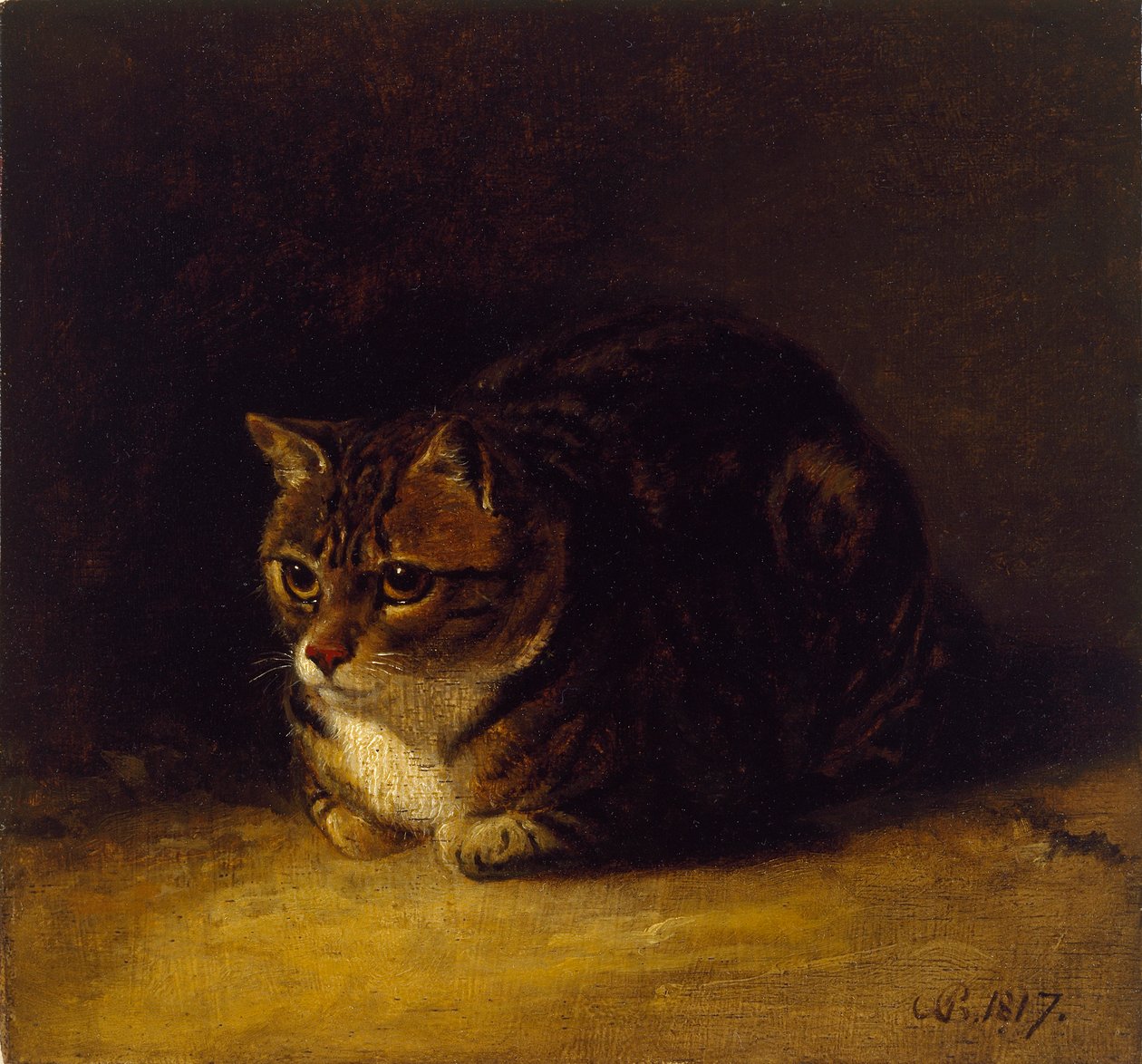 一只猫的研究，1817年 作者 亚伯拉罕·库珀