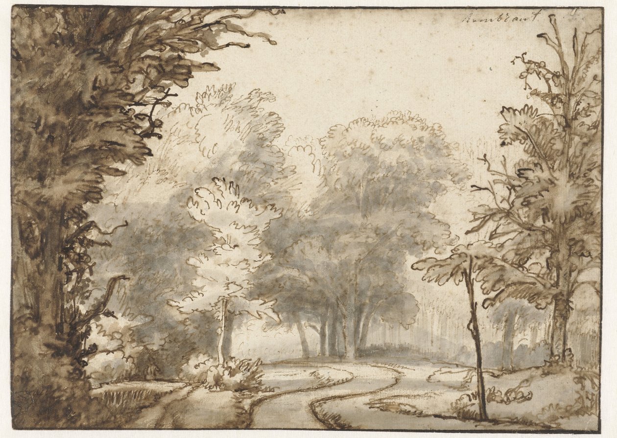穿越森林的道路 作者 亚伯拉罕·弗纳里斯（Abraham Furnerius）